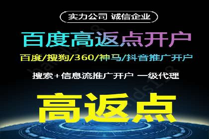 成功运用SEM服务实现品牌推广的案例分析